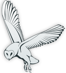 All live homosexual No-fee porn cam program in web